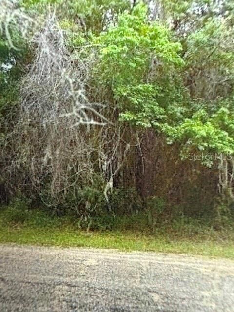 Property Photo: Walton FL 34434