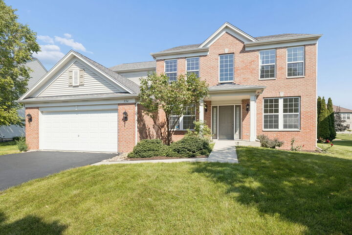 Property Photo:  354 Hogan Street  IL 60490 