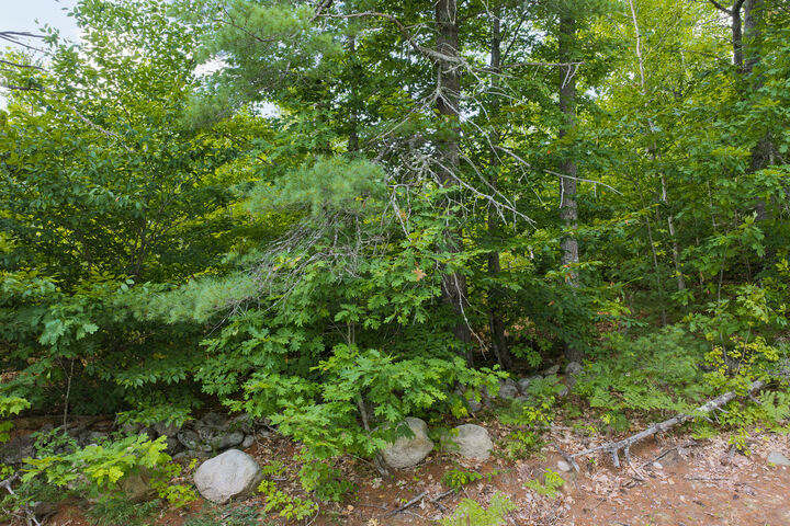 Property Photo:  Lot 1 Bell Hill Road  ME 04270 