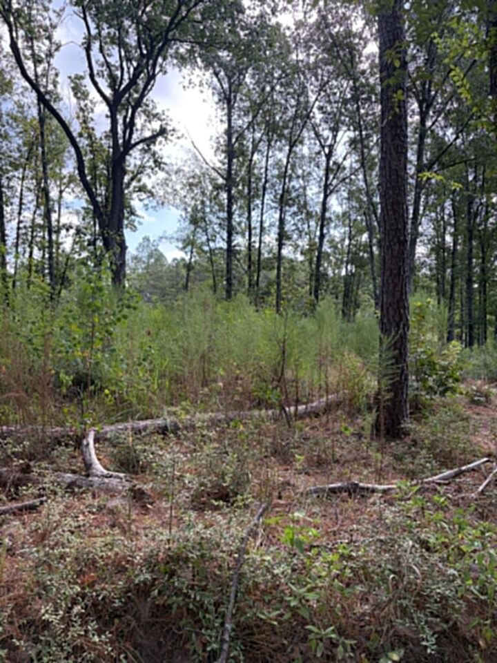 Property Photo:  R(3)155685 Miles Road  TX 75901 