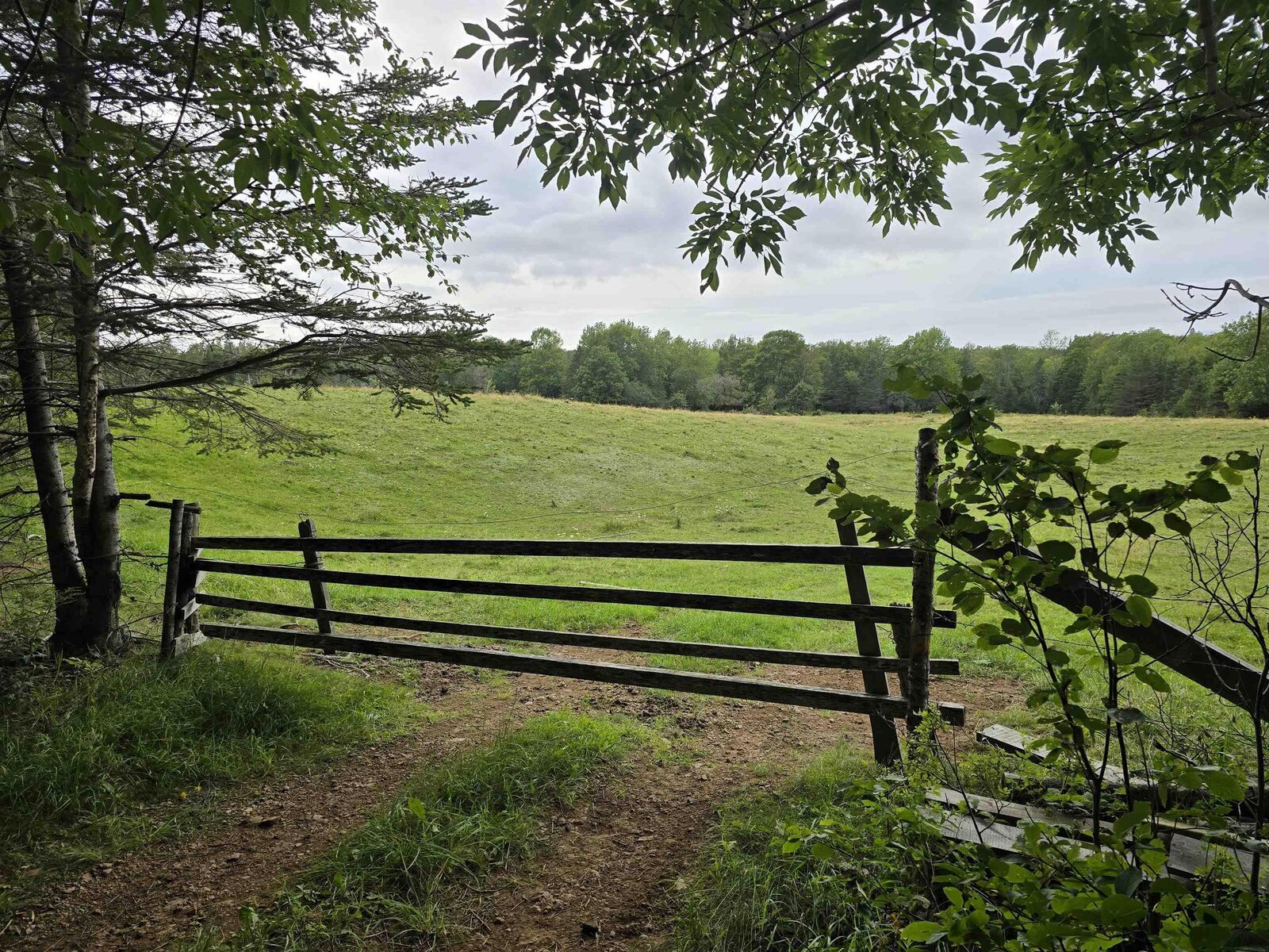 Property Photo:  Lot Canada Creek Road  NS B0P 1V0 