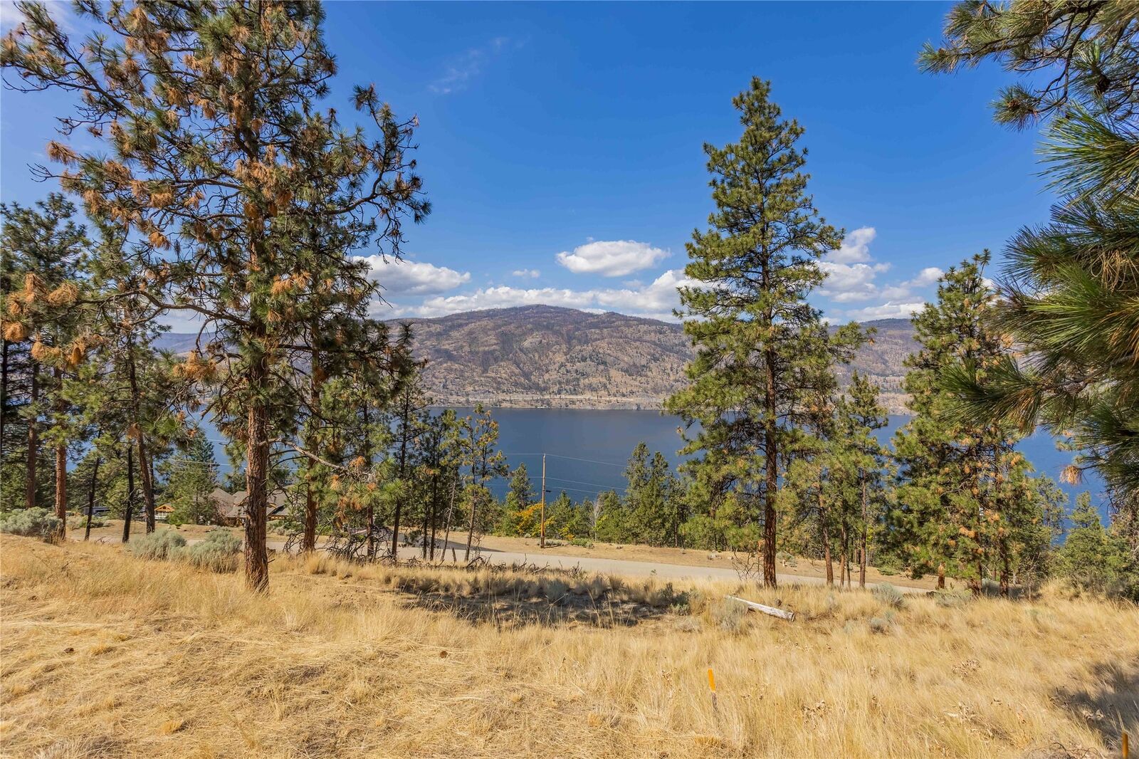 Property Photo: 2393 Arthur Court BC V1V 2S7