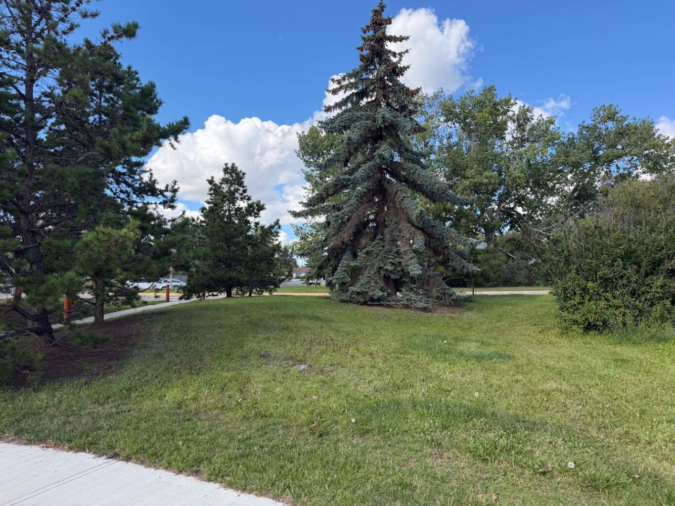 Property Photo:  10415 96A Street  AB T8V 2A7 
