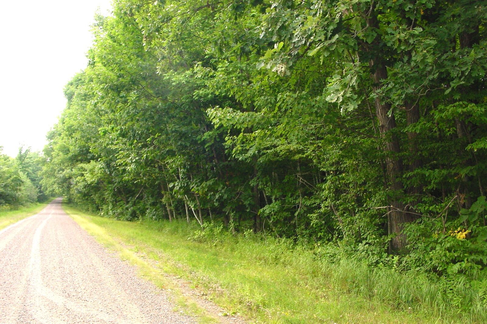 Property Photo:  80 Acres On Bailey Road  WI 54819 