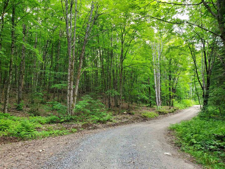 Property Photo:  0 Buckslide Road  ON K0M 1S0 