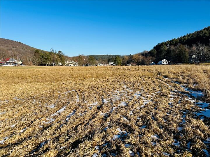 Property Photo: 171 Cronk Lane NY 12434