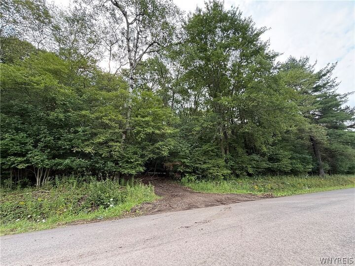 Property Photo: 3992 Bear Hollow Road NY 14741