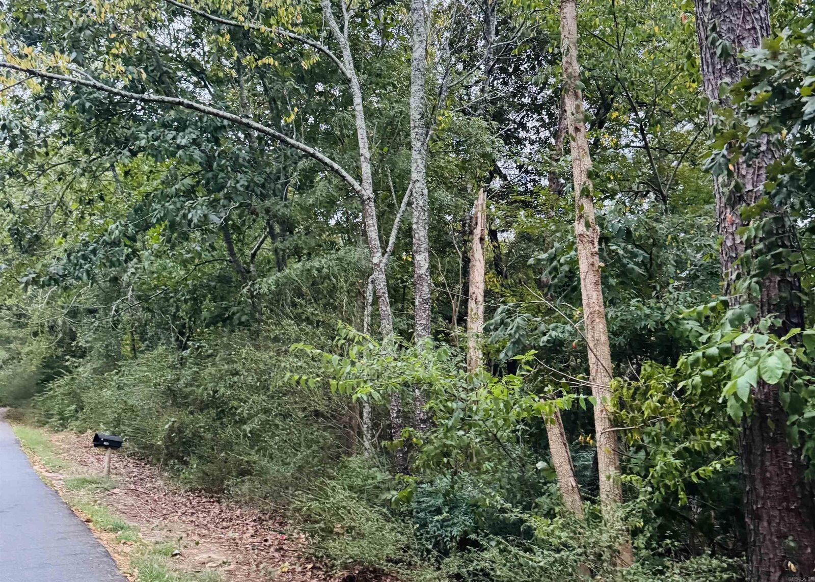 Property Photo:  Lot 25 Lee Summit  Dr.  AR 72202 