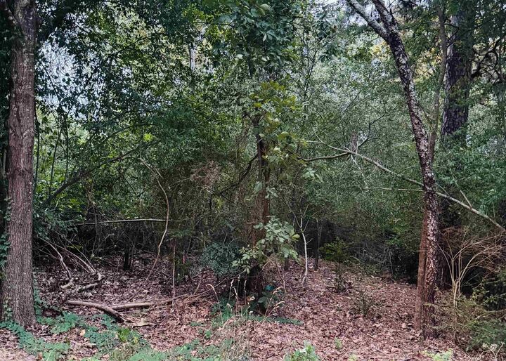 Property Photo: Lot 26 Lee Summit Dr. AR 72202