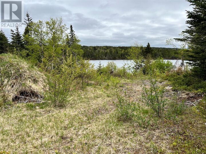 Property Photo:  18 Whiskey Hill  NL A0A 1G0 