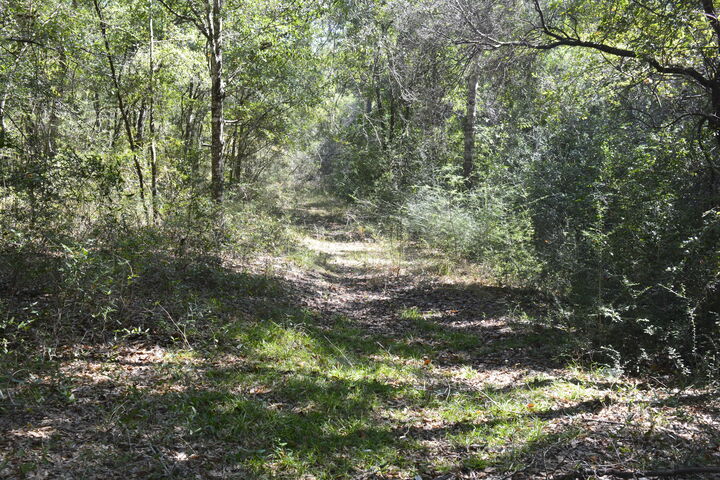 Property Photo:  Xxx 32 Ac. Aplin Road  FL 32539 