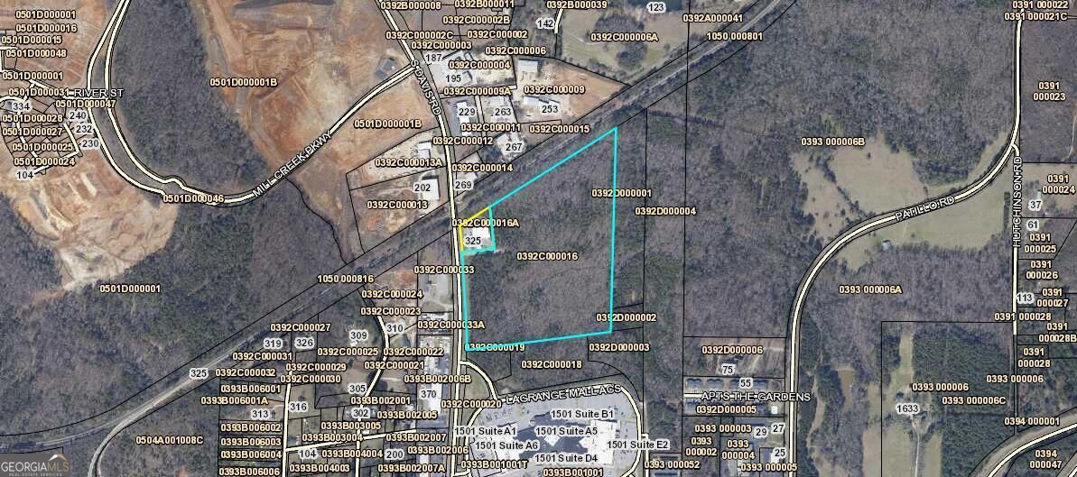 Property Photo:  30.54 Acres Davis Road  GA 30241 