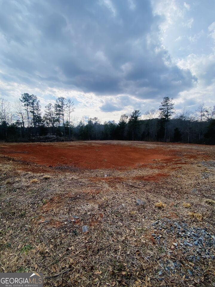 Property Photo: 95 Knight Trail GA 30286