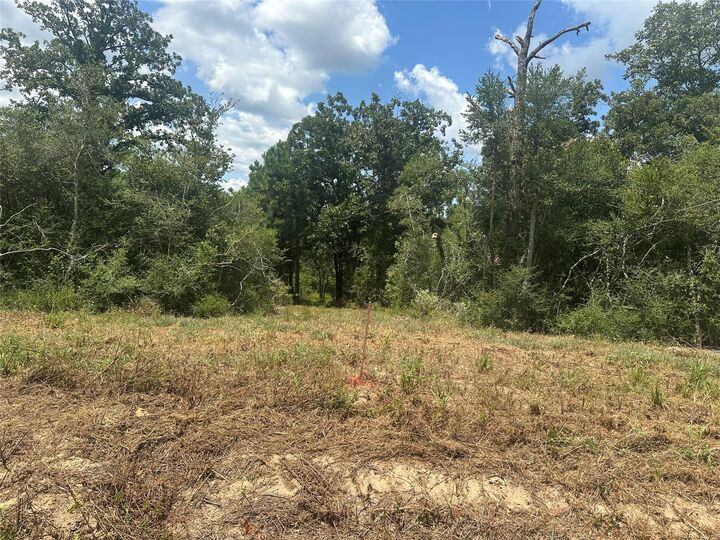 Property Photo: 0 Tbd County Road 322 TX 75846