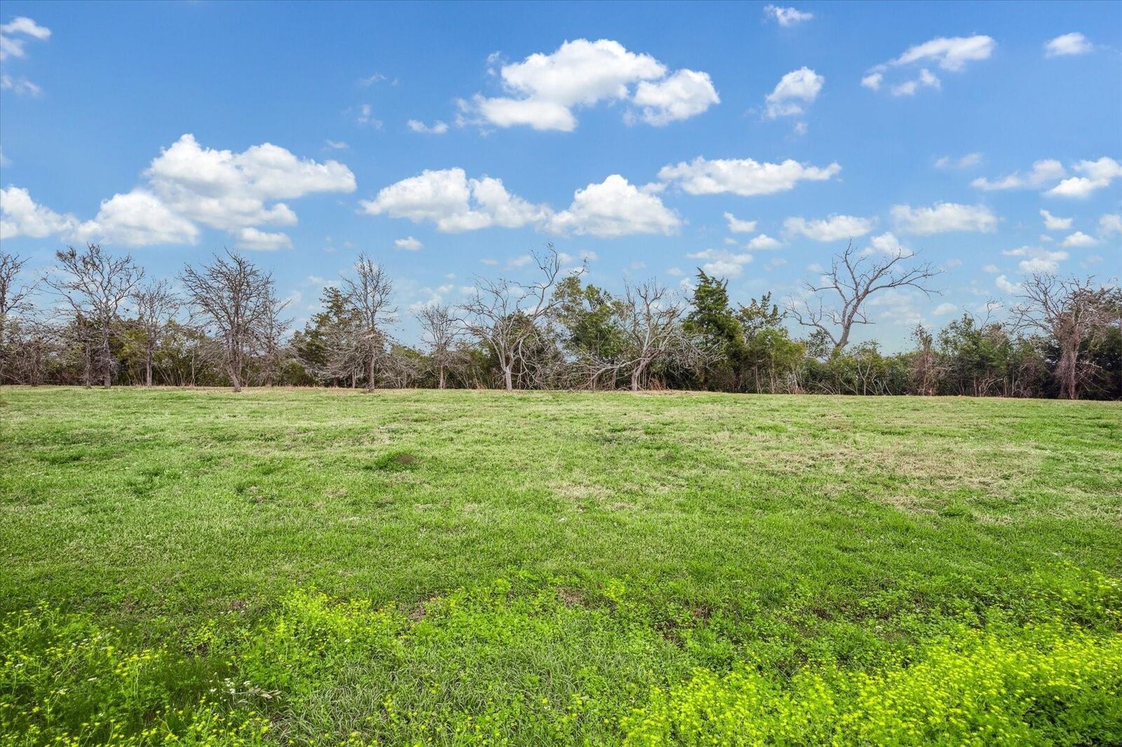 Property Photo:  19511 Old Galveston Road  TX 77598 