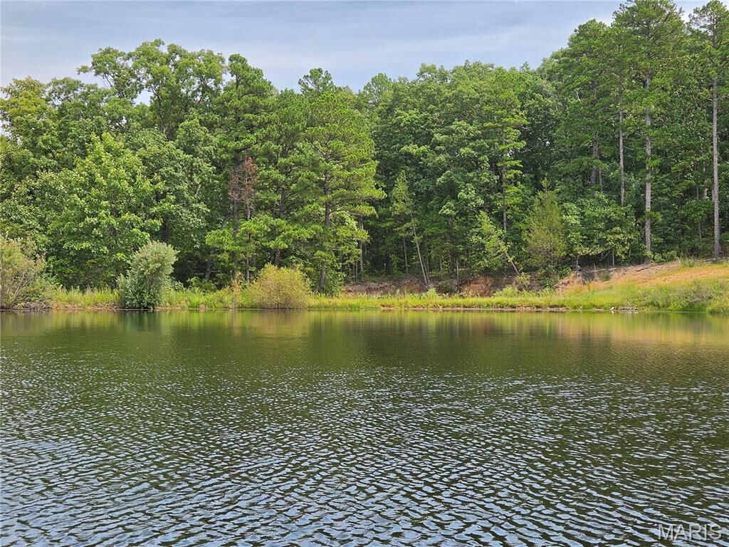 Property Photo:  0 Ridgely Road  MO 63630 