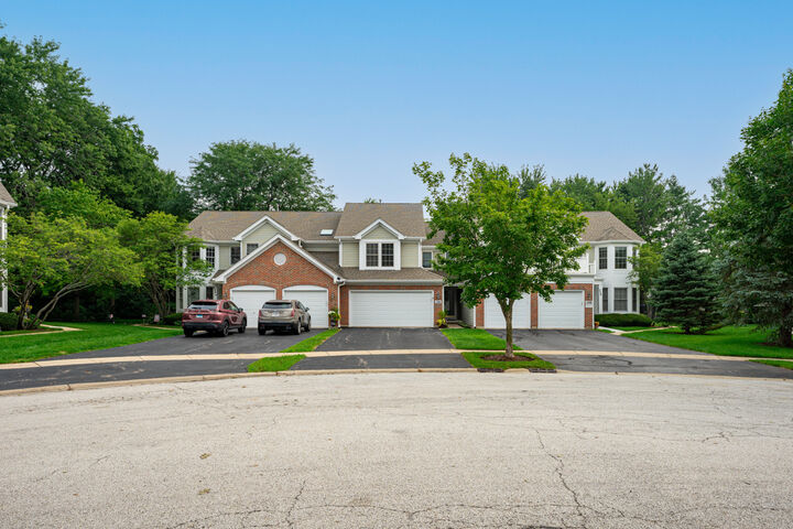 Property Photo:  550 Bradbury Lane 550  IL 60134 
