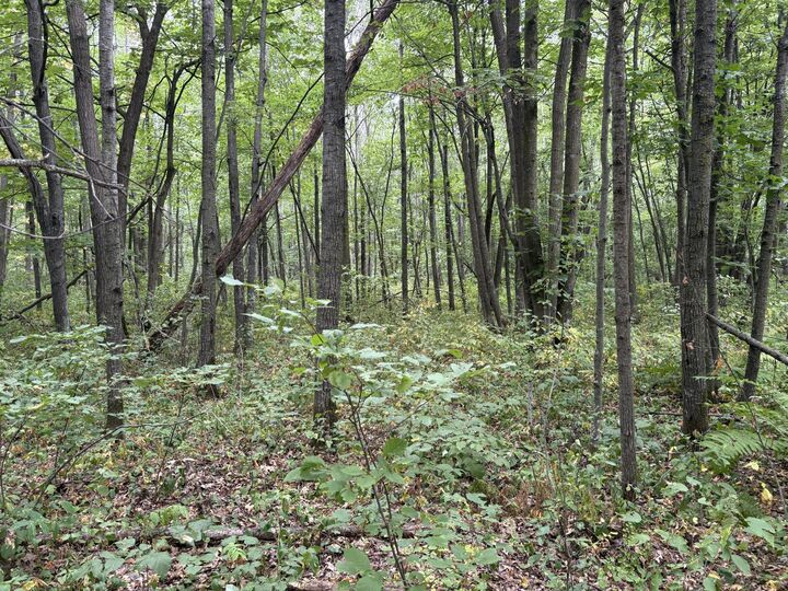 Property Photo:  Xxx Meadowview Road  MN 56401 