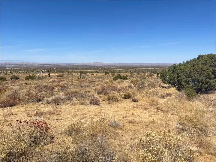 Property Photo:  0 Vac Fort Tejon Drt Vic  CA 93544 