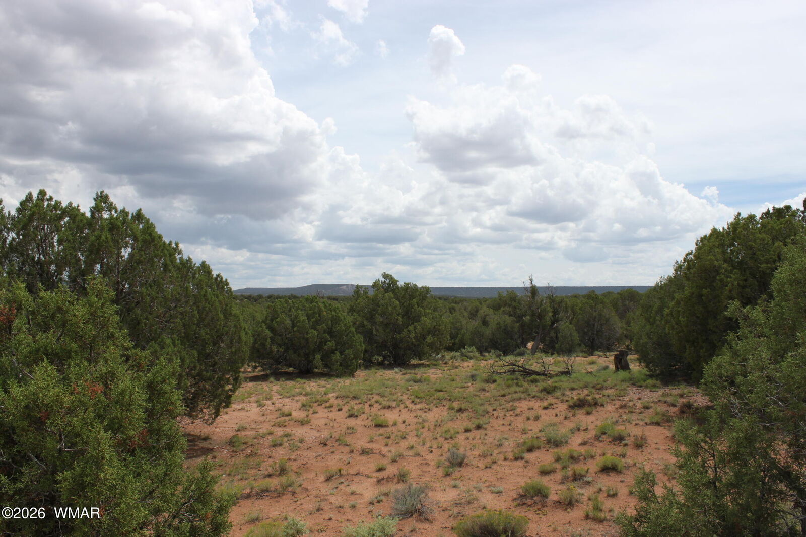 Property Photo:  Tbd N8595  AZ 85924 