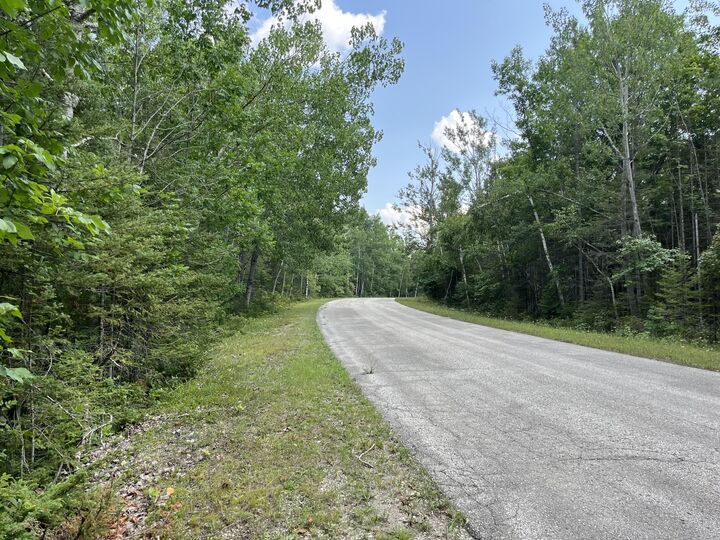 Property Photo: Lot 46 Renwick Circle MI 49777