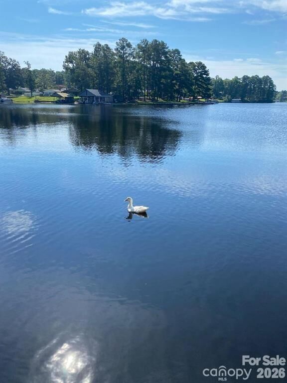 Property Photo: 217 Sandy Point Lane 12 SC 29550