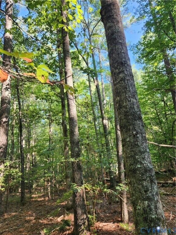Property Photo: 1029 Boscobel Trace Bend VA 23103