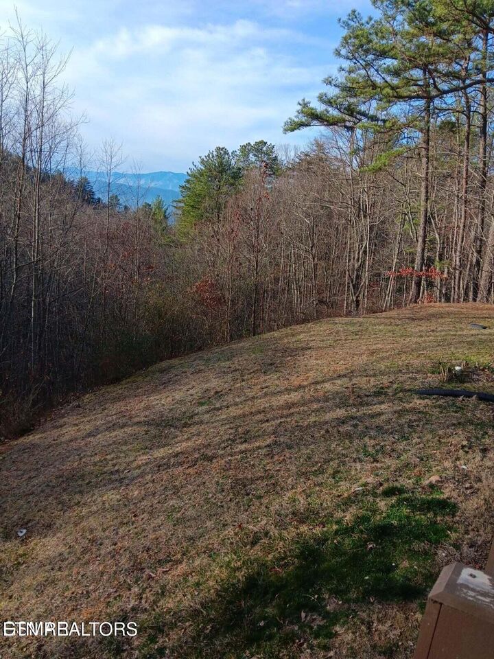 Property Photo: 1081 Cove Rd 1011 TN 37876
