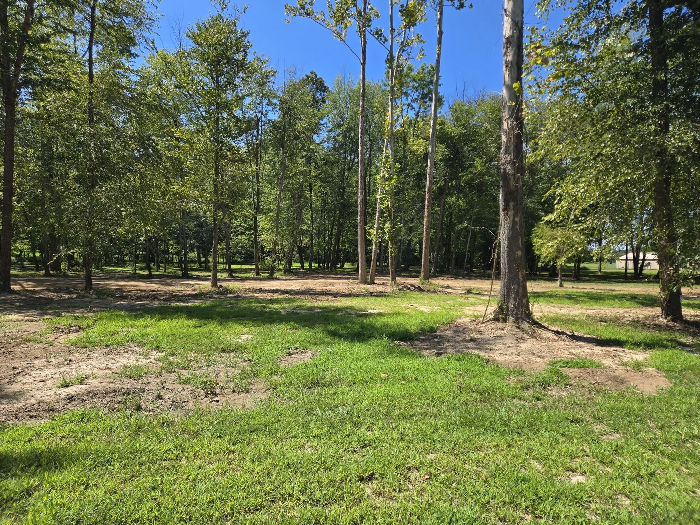 Property Photo: Lot 3 NE Norman Road IL 62959