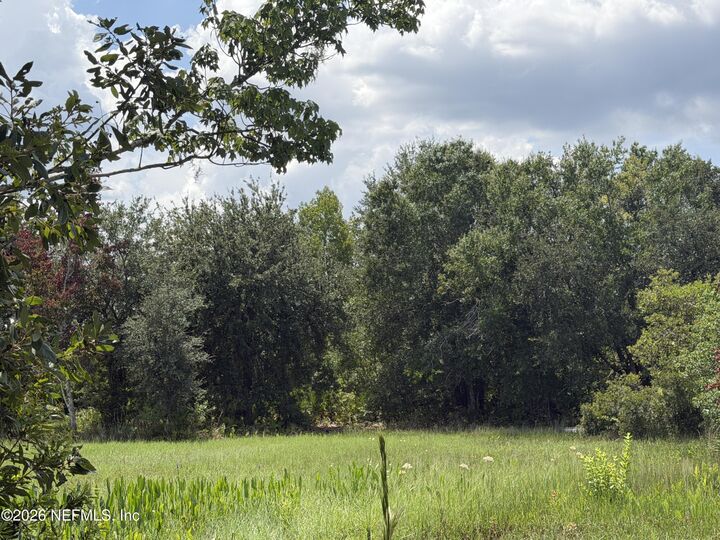 Property Photo: Tbd Dayflower Boulevard FL 33544