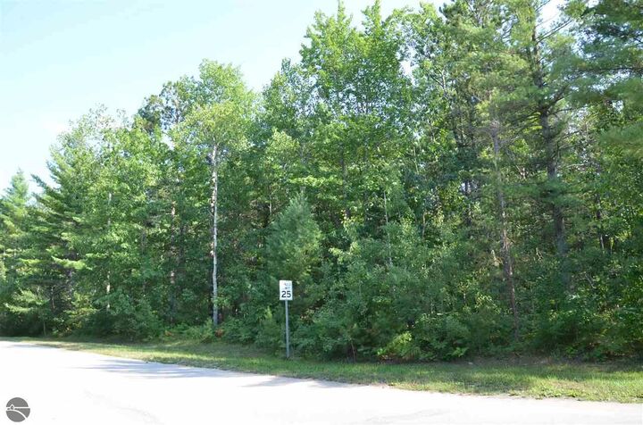 Property Photo: Off W Log Lake Road MI 49646