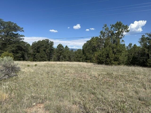 Property Photo:  10 .95 Acres East Of Nm-223  NM 87552 