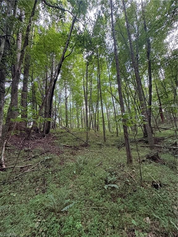 Property Photo: 0 Johnson Road NC 27021