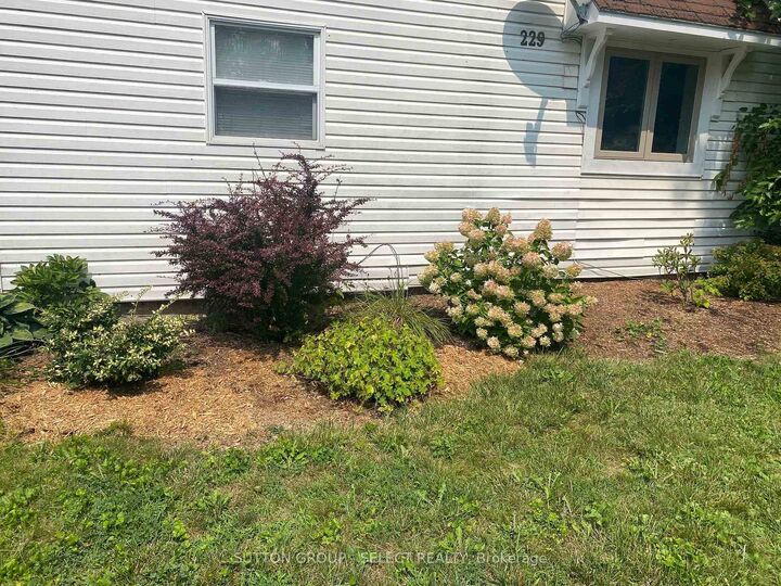 Property Photo:  229 Miller Road  ON N0L 1J0 