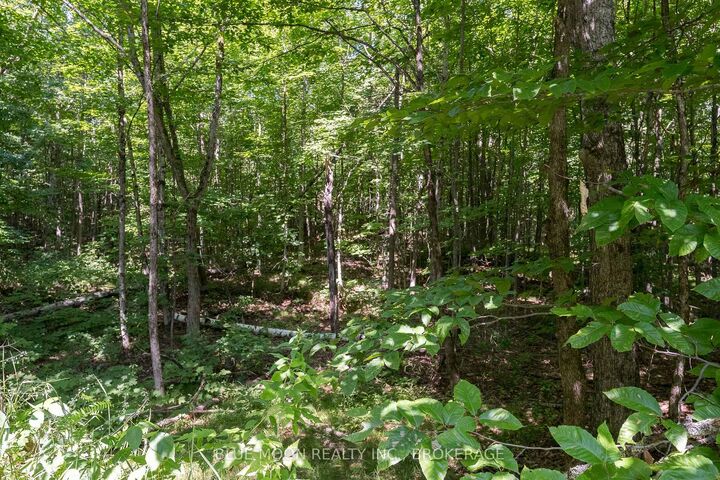 Property Photo:  1531 Myers Cave Road  ON K0H 1B0 