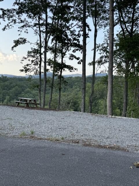 Property Photo:  290 Eagle View Drive  GA 30540 