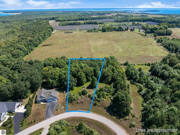 Property Photo: Lot 40 N Shores Court MI 49670