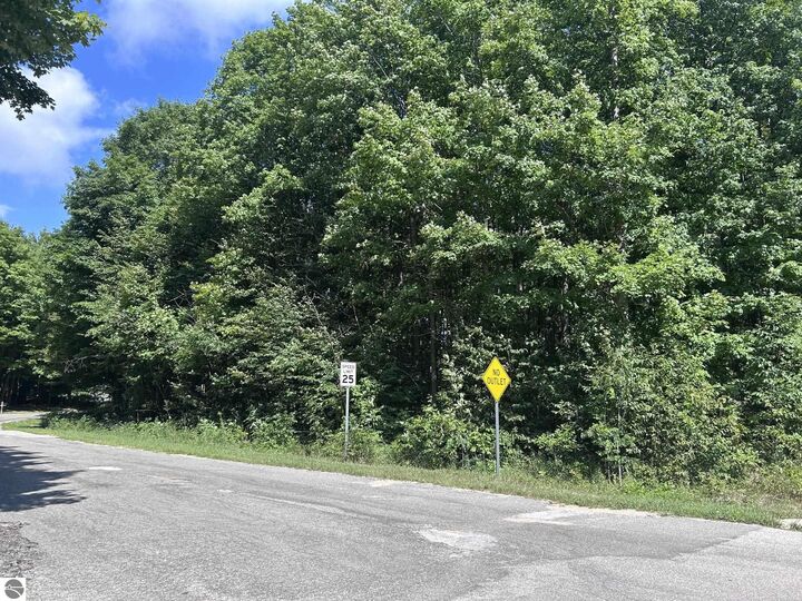 Property Photo: 0 Antioch Drive MI 49668