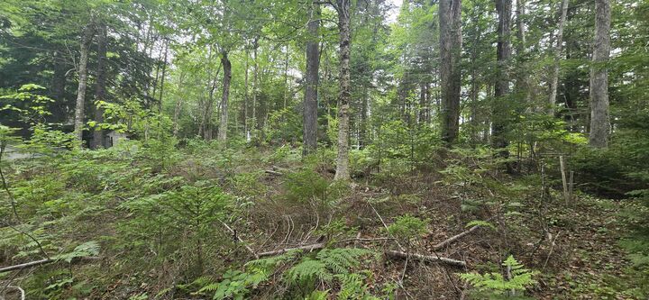Property Photo: 15 Johnson Road NS B0N 1Z0