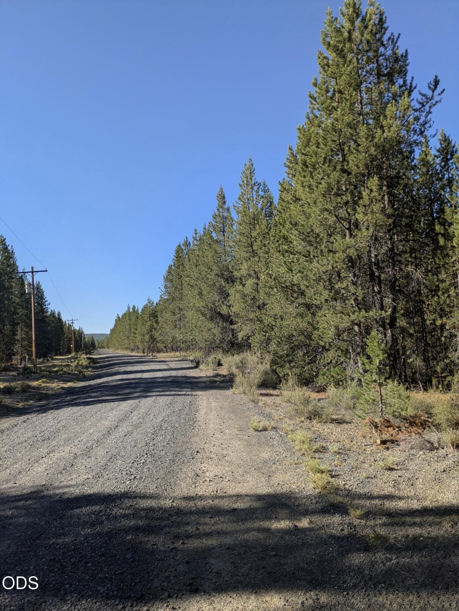 Property Photo:  123618 Cruikshank Drive  OR 97733 