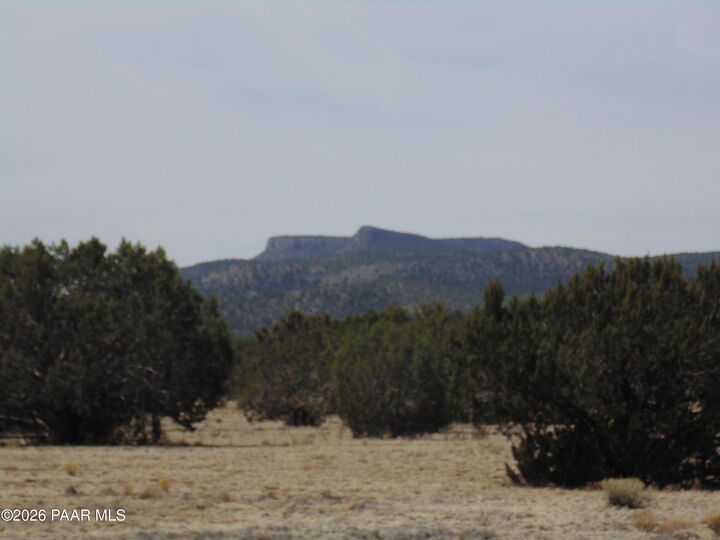 Property Photo: 56765 Hidalgo Cir AZ 86337