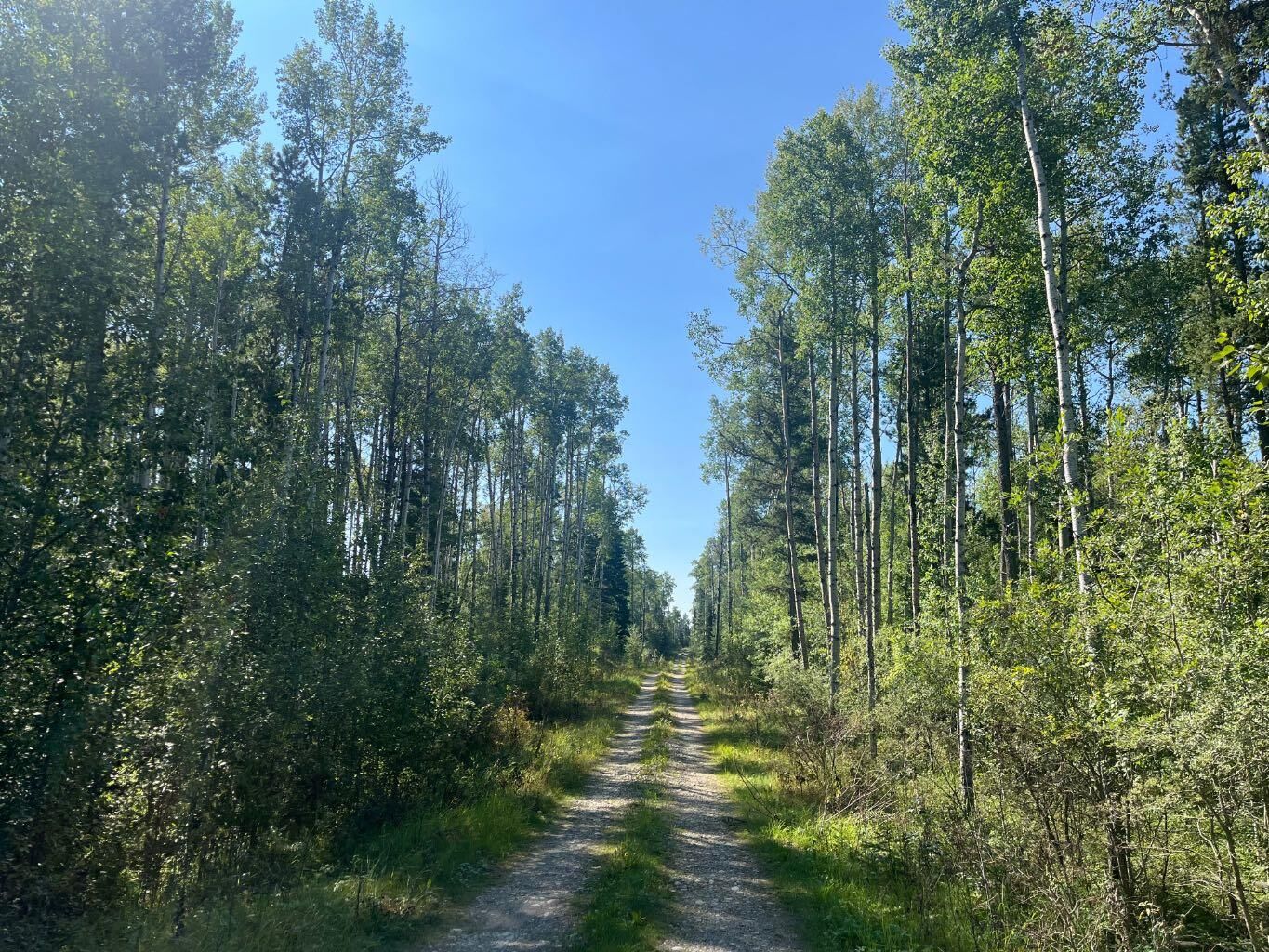 Property Photo: 75033 Township Road 37-4 AB T4T 1A4