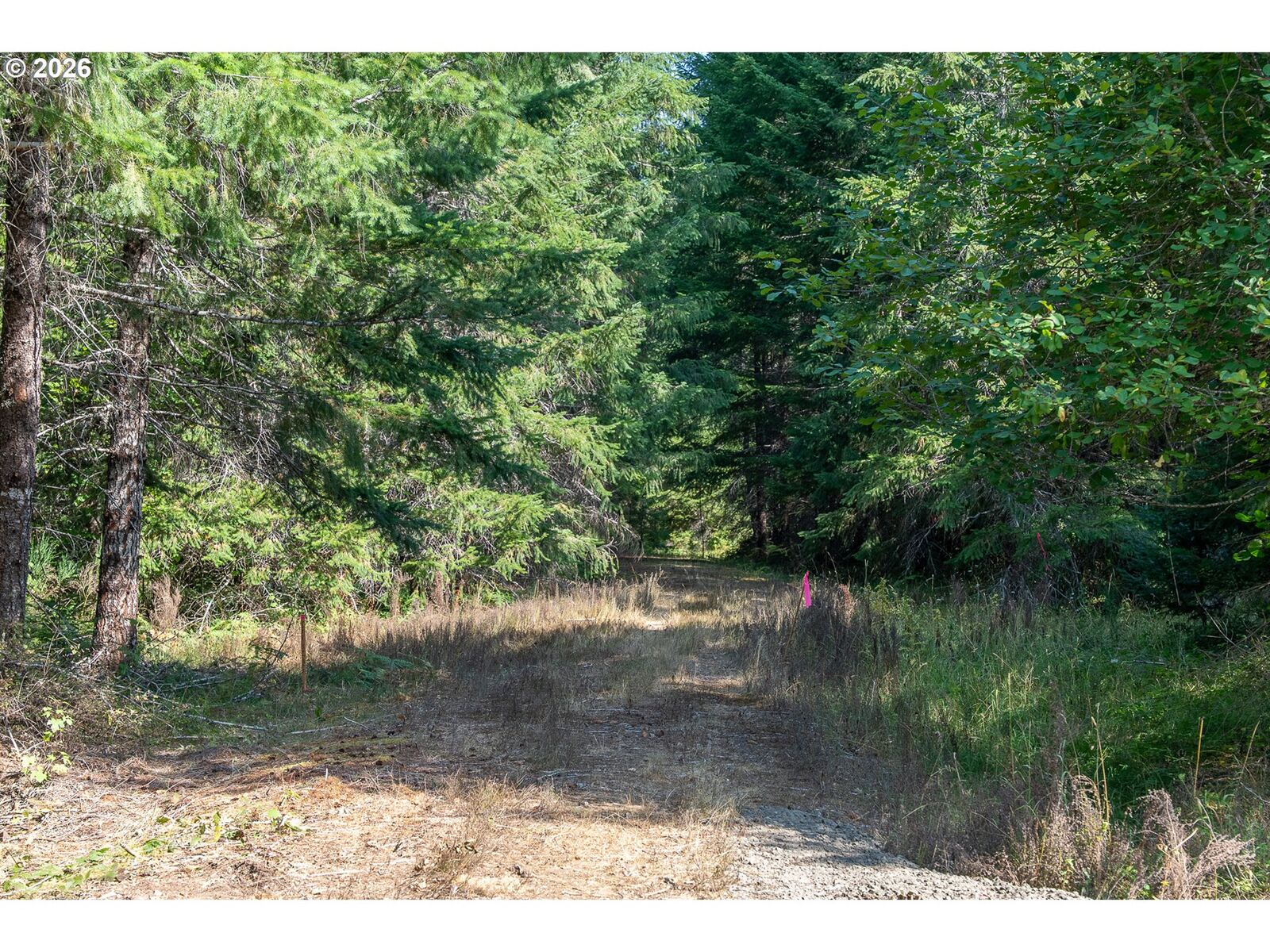 Property Photo: Hawk Meadows Rd 3 WA 98610