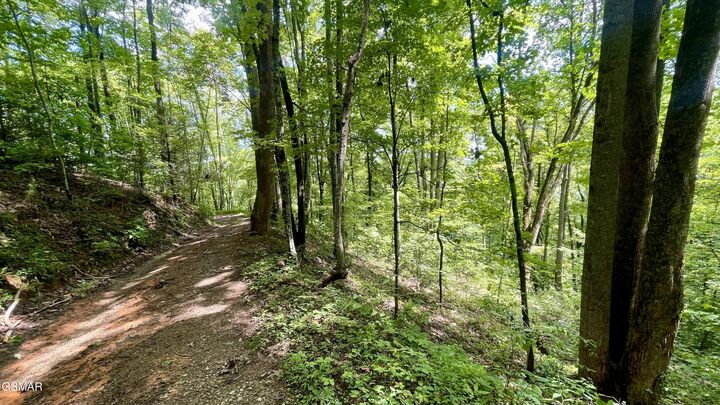 Property Photo:  1304 Balsam Circle  TN 37876 