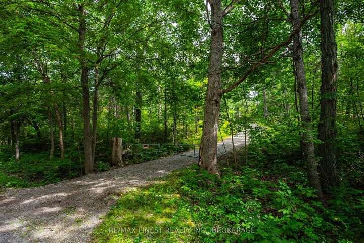 169 Old River Road — photo 1
