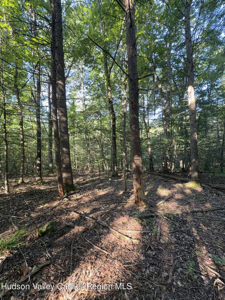 Property Photo: Tbd Hidden NY 12457