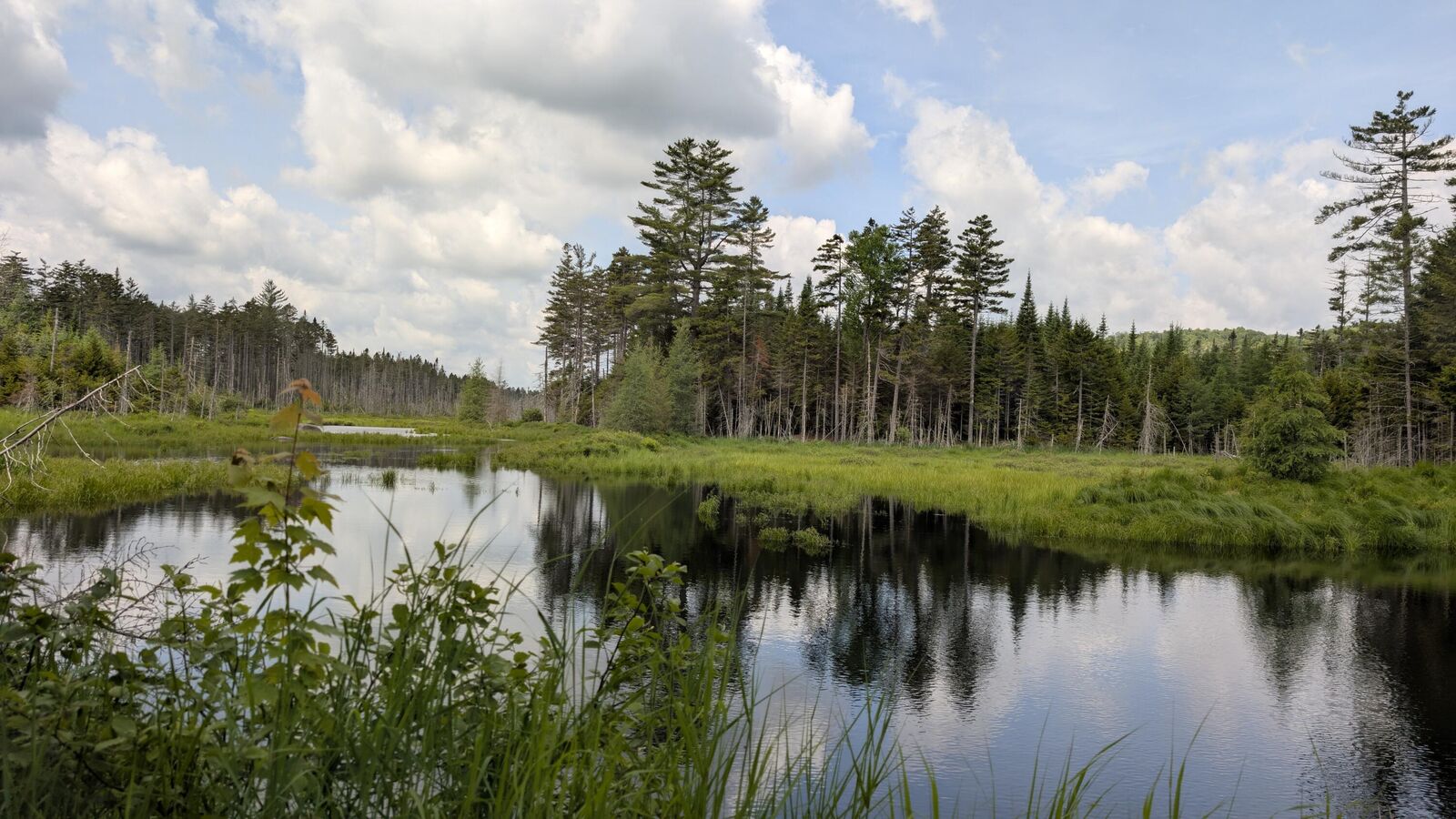 Property Photo:  0 New York 30  NY 12847 