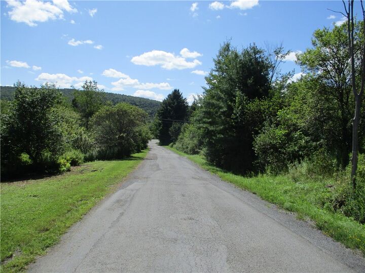 Property Photo:  0 Daniels Road  NY 13844 