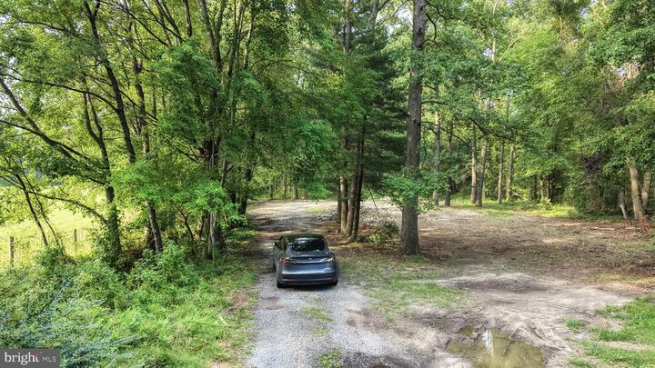Property Photo: 111 Thicket Road DE 19934