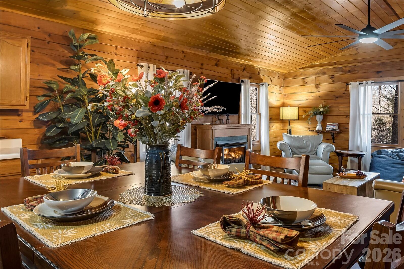 Property Photo:  398 Locust Drive  NC 28751 